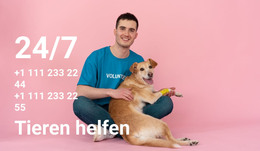 24/7 Hilfe Für Tiere - Einseitenvorlage