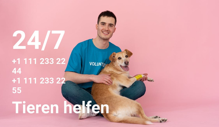 24/7 Hilfe für Tiere HTML-Vorlage