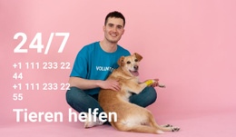 24/7 Hilfe Für Tiere - Zielseite Zum Kostenlosen Download