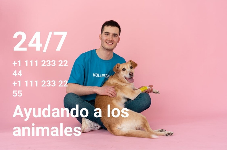 Ayuda a los animales las 24 horas del día, los 7 días de la semana Página de destino