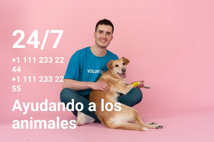 Ayuda a los animales las 24 horas del día, los 7 días de la semana Plantilla HTML