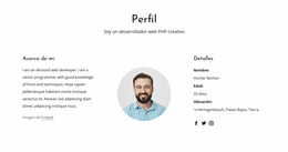 Perfil De Trabajo De Desarrollador Web: Plantilla De Sitio Web Joomla