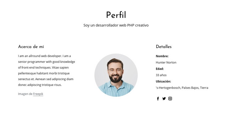 Perfil de trabajo de desarrollador web Plantilla