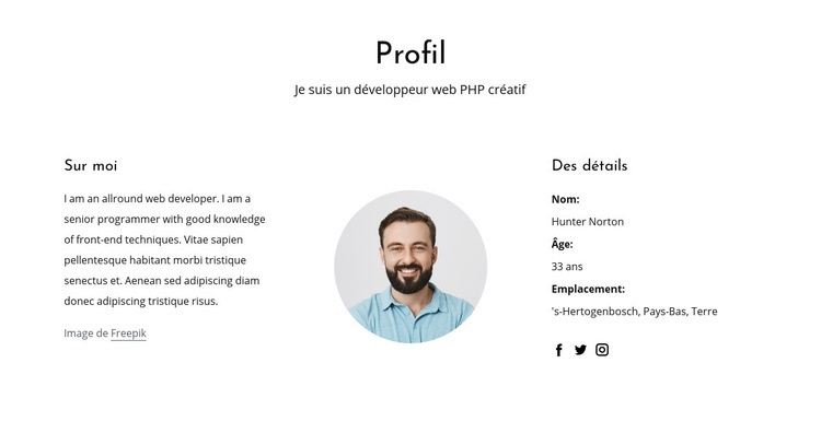 Profil d'emploi de développeur Web Conception de site Web