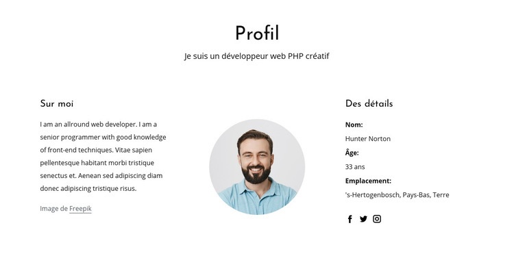 Profil d'emploi de développeur Web Créateur de site Web HTML
