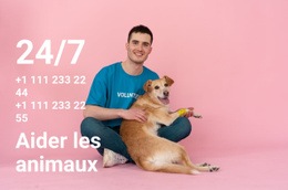 Aide 24/7 Aux Animaux – Modèle De Site Web Gratuit