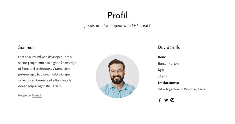 Profil d'emploi de développeur Web Modèle HTML