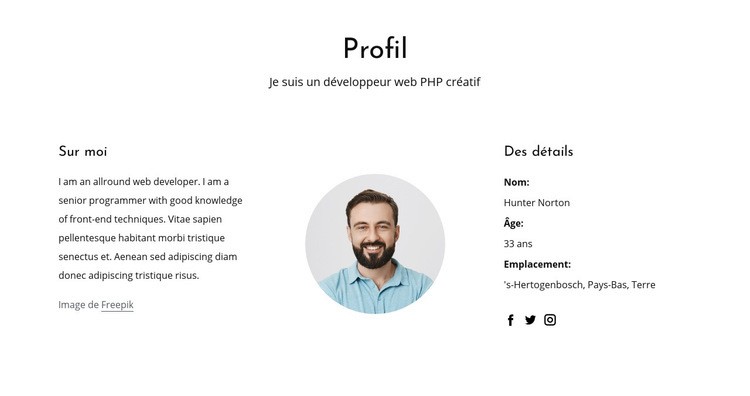 Profil d'emploi de développeur Web Modèle