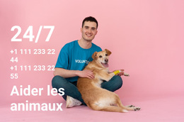 Aide 24/7 Aux Animaux - Afficher La Fonctionnalité De Commerce Électronique