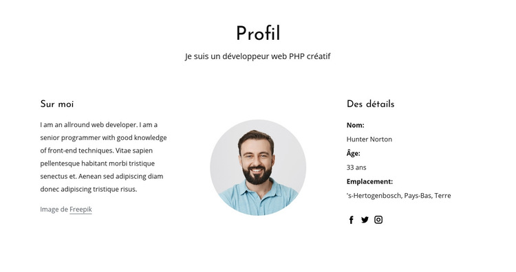 Profil d'emploi de développeur Web Modèle de site Web
