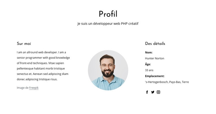 Profil d'emploi de développeur Web Modèle d'une page