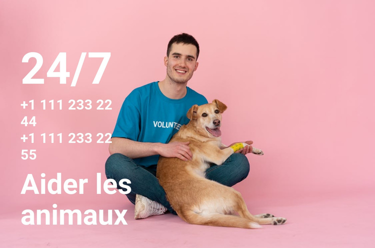 Aide 24/7 aux animaux Thème WordPress