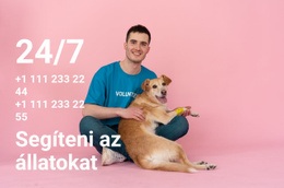 24/7 Segítség Az Állatoknak - Egyoldalas Sablon