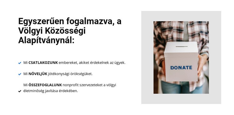 Jótékonysági szervezet Weboldal sablon