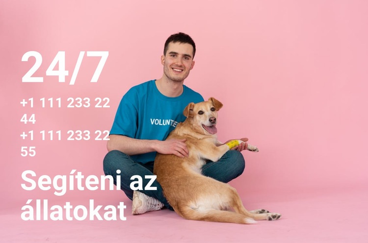 24/7 segítség az állatoknak Weboldal sablon