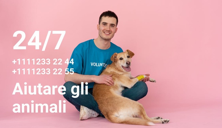 Aiuto 24 ore su 24, 7 giorni su 7 per gli animali Mockup del sito web