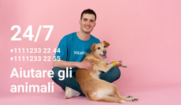 Aiuto 24 Ore Su 24, 7 Giorni Su 7 Per Gli Animali - Modello Di Pagina HTML