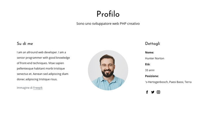 Profilo professionale dello sviluppatore web Modello HTML