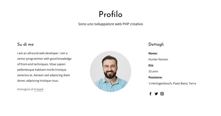 Profilo professionale dello sviluppatore web Modello HTML5