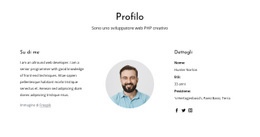 Profilo Professionale Dello Sviluppatore Web