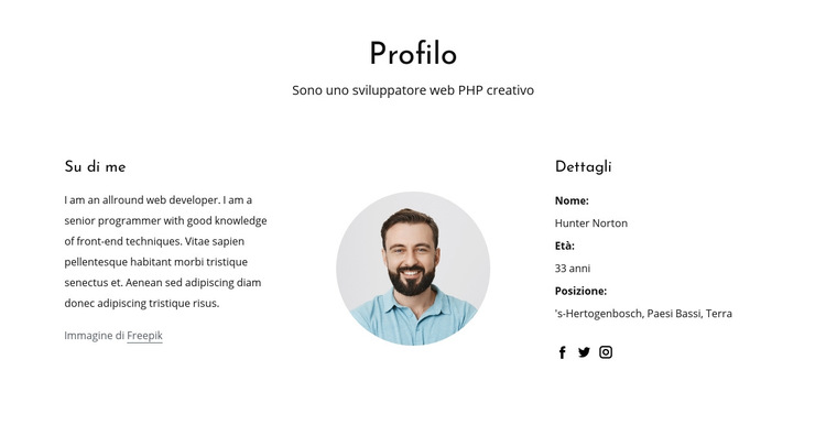 Profilo professionale dello sviluppatore web Modello di sito Web