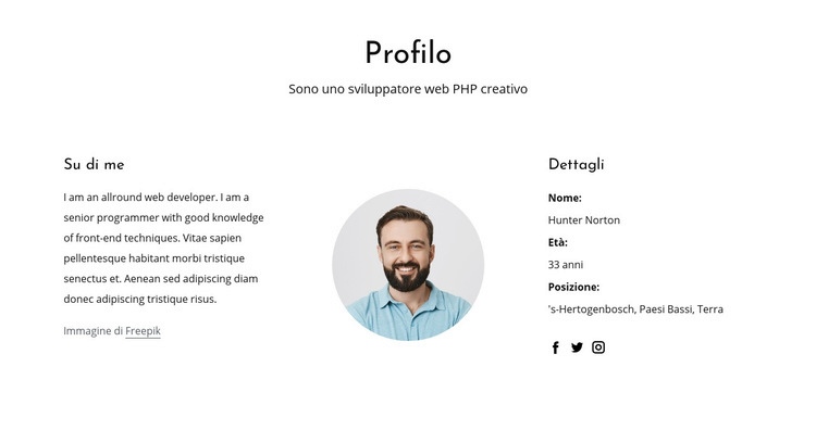 Profilo professionale dello sviluppatore web Pagina di destinazione