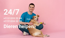 24/7 Hulp Aan Dieren - WordPress-Thema-Inspiratie