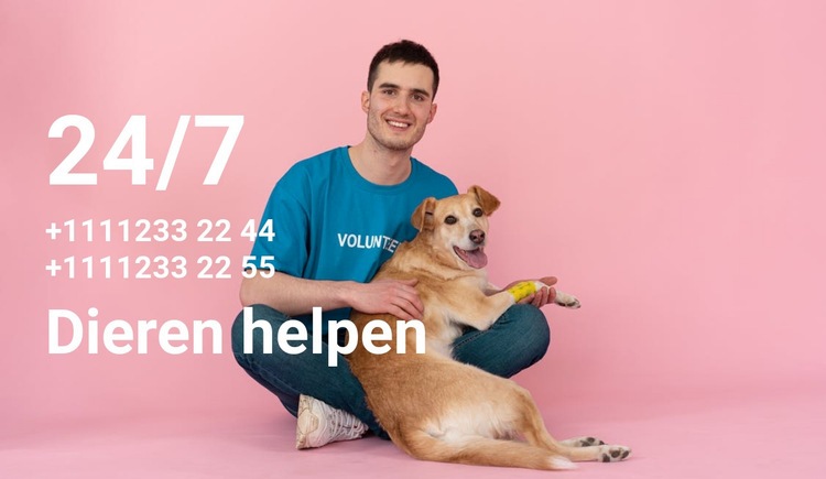 24/7 hulp aan dieren Website Builder-sjablonen