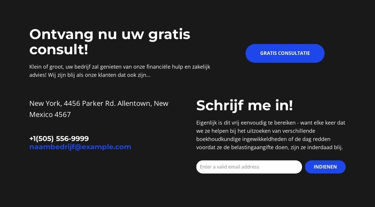 Leiden met Financiën Website sjabloon