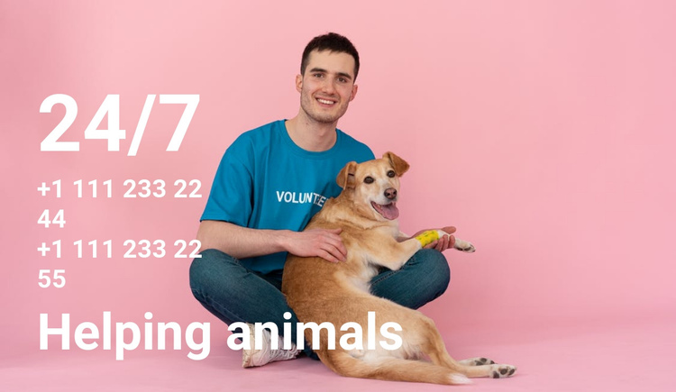 24/7 help to animals One Page Template