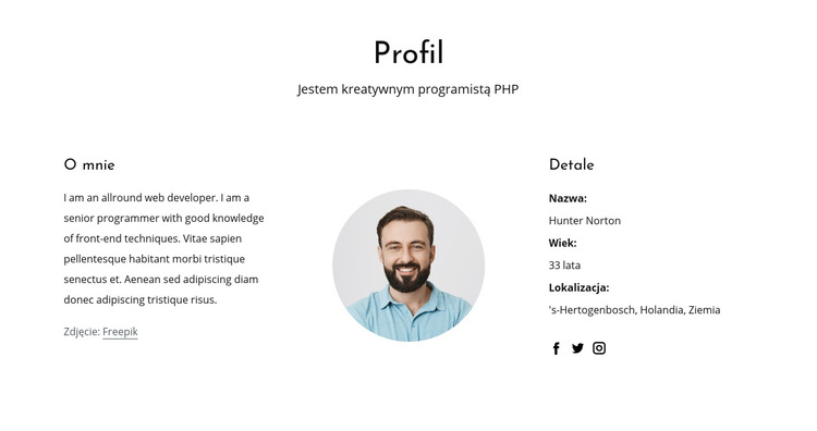 Profil pracy programisty internetowego Motyw WordPress
