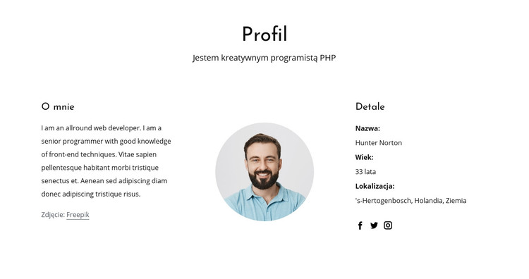 Profil pracy programisty internetowego Szablon HTML