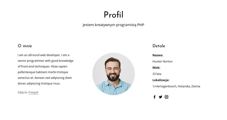 Profil pracy programisty internetowego Szablon HTML5