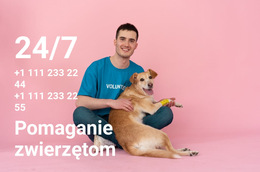 Całodobowa Pomoc Zwierzętom - Wyświetl Funkcję E-Commerce