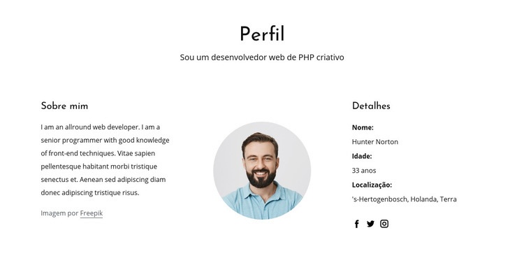 Perfil de trabalho de desenvolvedor da web Modelos de construtor de sites