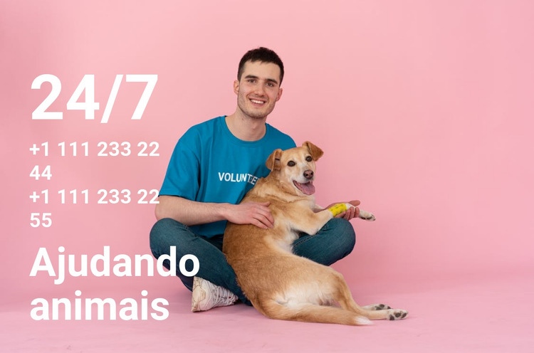 24/7 ajuda aos animais Modelo HTML5