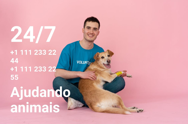 24/7 ajuda aos animais Tema WordPress