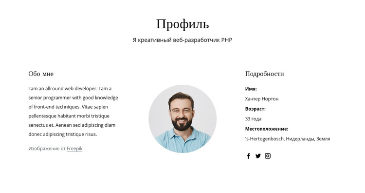 Профиль вакансии веб-разработчика HTML шаблон