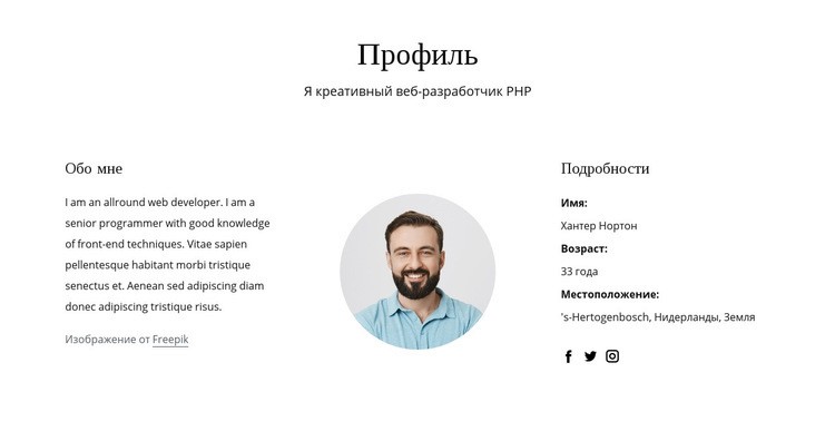 Профиль вакансии веб-разработчика Мокап веб-сайта