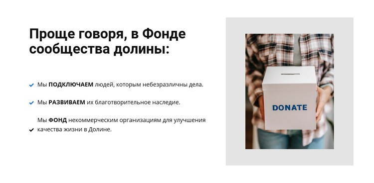 Благотворительная организация Шаблон