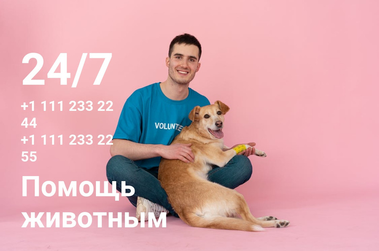 24/7 помощь животным WordPress тема