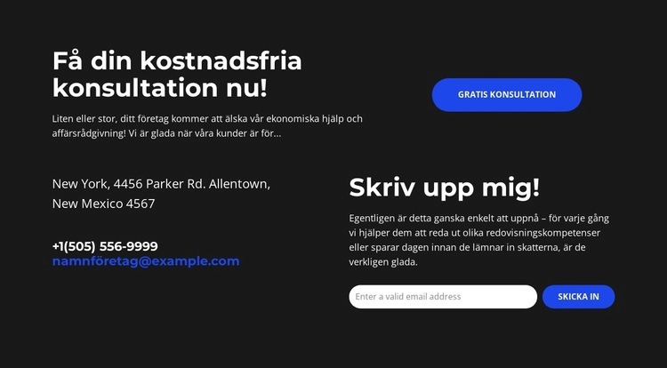 Leder med ekonomi CSS -mall