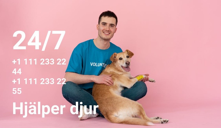 24/7 hjälp till djur HTML-mall