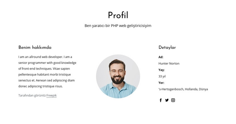 Web geliştiricisi iş profili Açılış sayfası