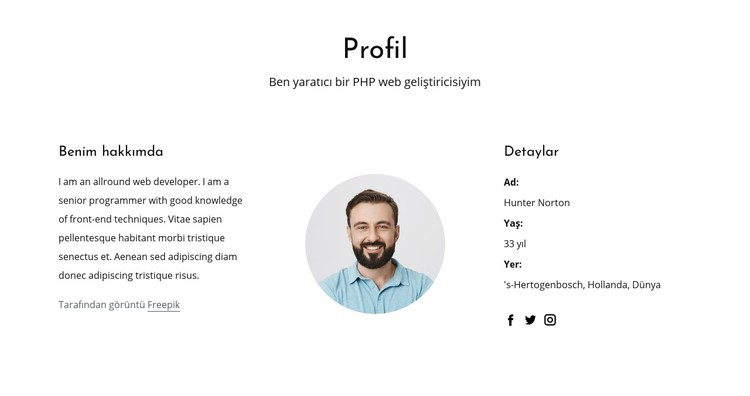 Web geliştiricisi iş profili CSS Şablonu