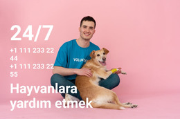 7/24 Hayvanlara Yardım - Bir Sayfalık Şablon