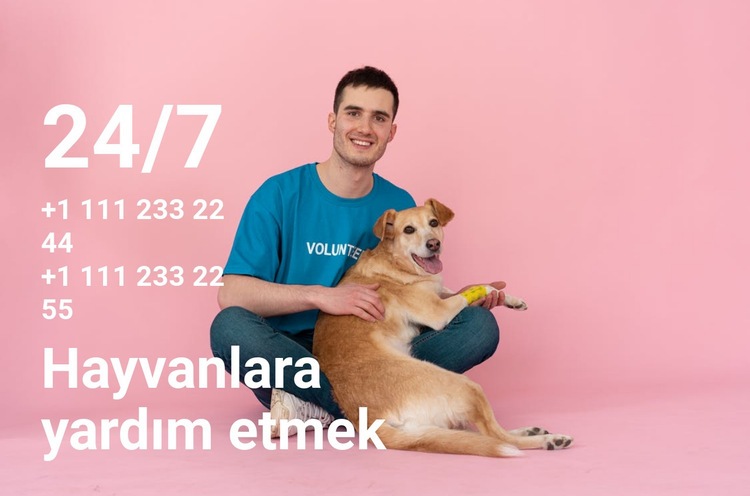 7/24 hayvanlara yardım Bir Sayfa Şablonu