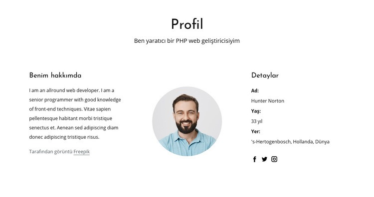 Web geliştiricisi iş profili Web sitesi tasarımı