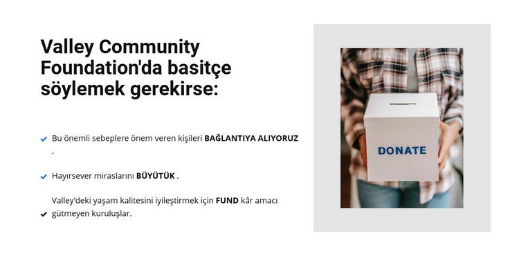 hayır kurumu WordPress Teması