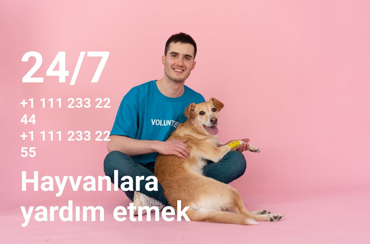 7/24 hayvanlara yardım WordPress Teması